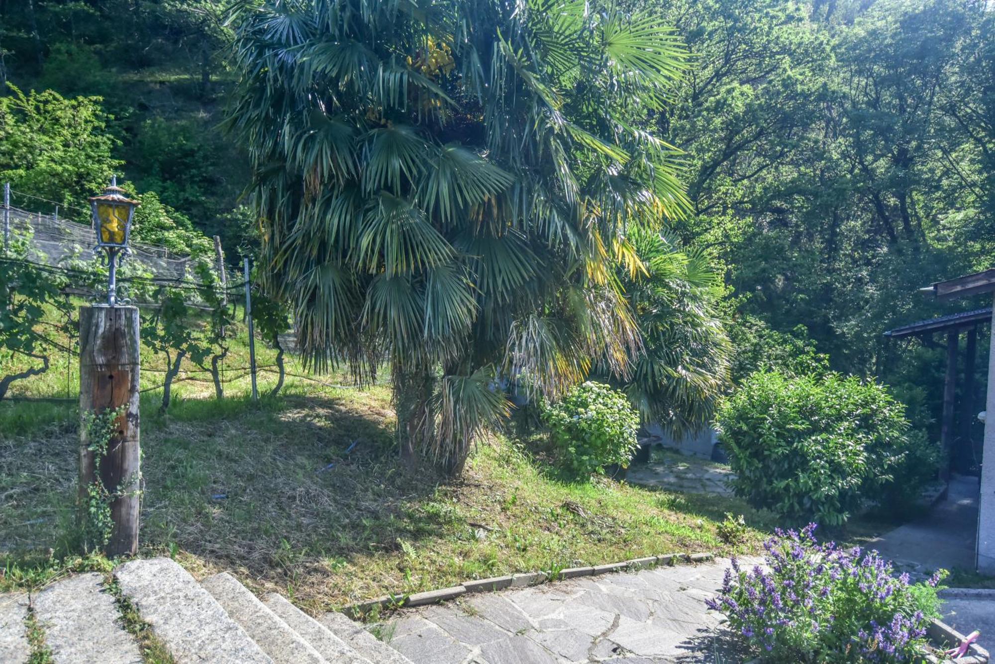 Agriturismo Viva Bacco Gambarogno Exterior foto