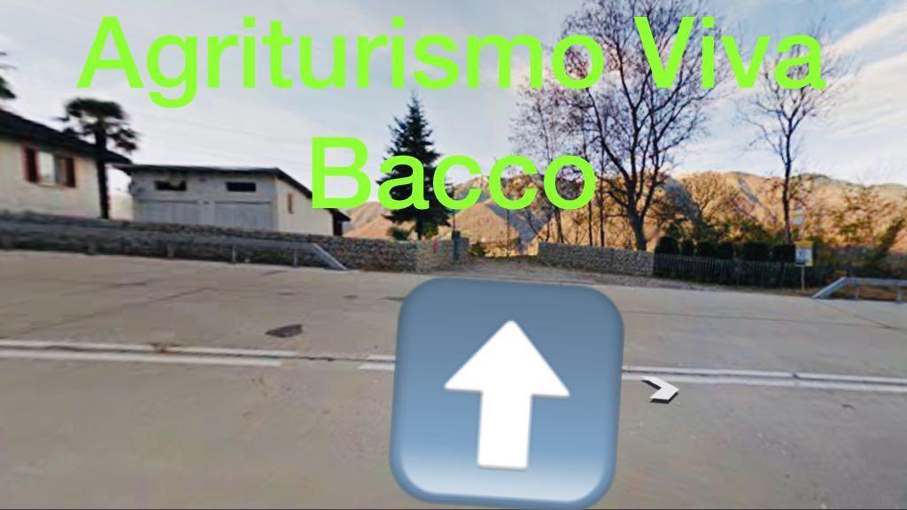 Agriturismo Viva Bacco Gambarogno Exterior foto